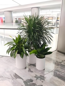 哇塞!余姚绿化修剪服务好的惊人秘密!